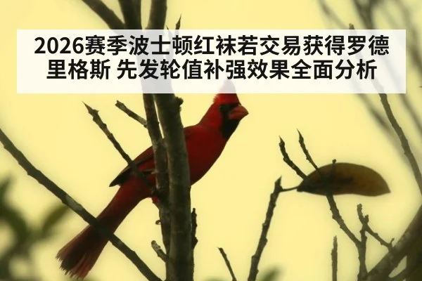 2026赛季波士顿红袜若交易获得罗德里格斯 先发轮值补强效果全面分析