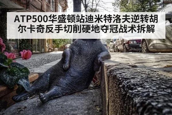 ATP500华盛顿站迪米特洛夫逆转胡尔卡奇反手切削硬地夺冠战术拆解